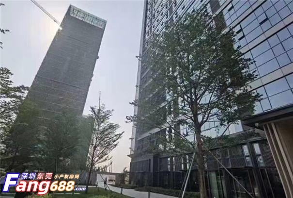 沙井新桥【鹏程时代】 (5).jpg