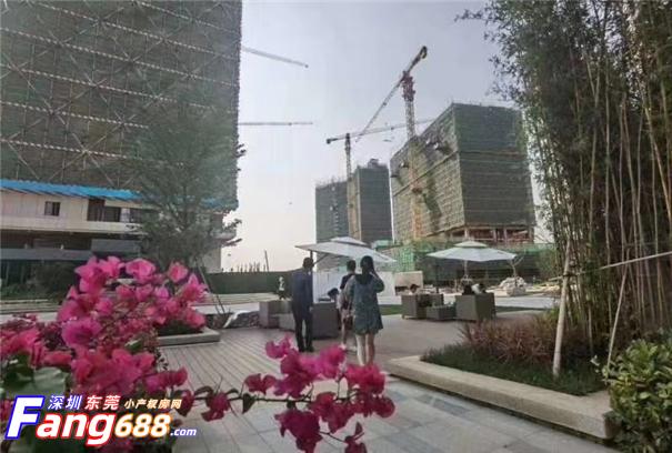 沙井新桥【鹏程时代】 (6).jpg