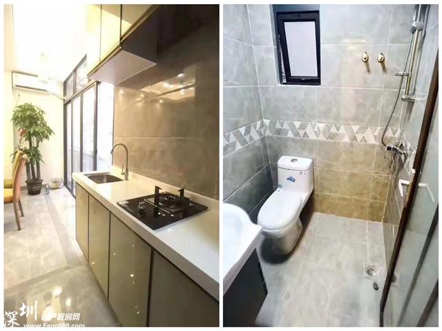 上合花园里03.jpg
