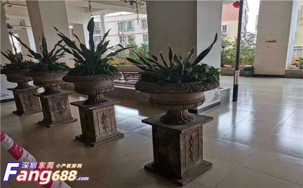 布吉【翰林优居】 (7).jpg