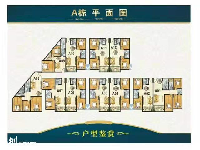 微信图片_201911011350358.jpg