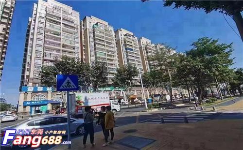 深圳福永塘尾《凤凰新城花园》村委盖章小产权房，天然气入户，空中花园，村委保留房源
