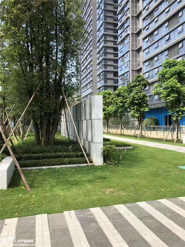 微信图片_201908221722012.jpg