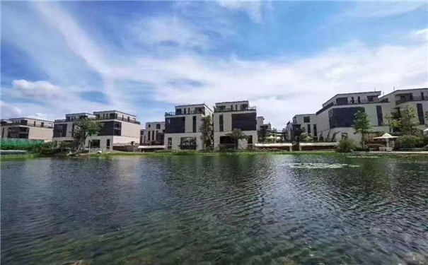 微信图片_202005111608571.jpg