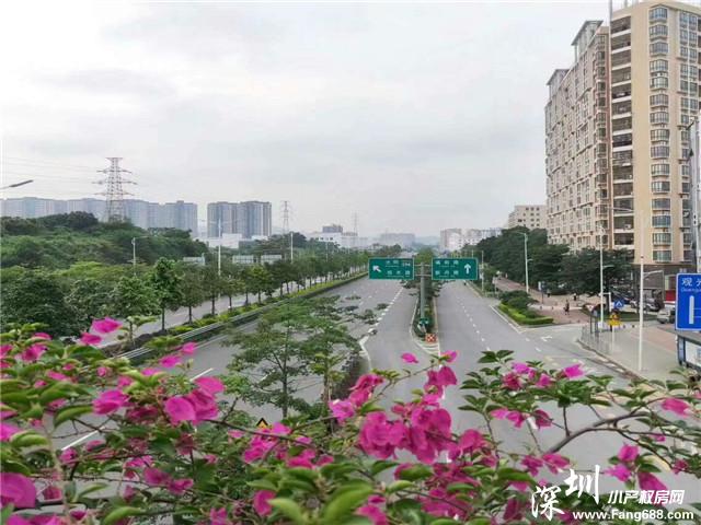 微信图片_20190525113113.jpg